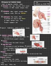 Skeletal Muscle.pdf