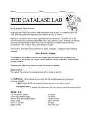 GABRIELA DE LOS SANTOS - catalase lab 2012.doc.pdf