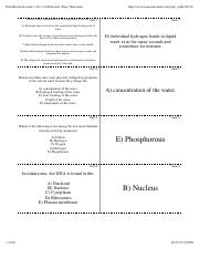 Preview of “Print Biochem exam 1 (ch.1-6) flashcards | Easy Notecards”.pdf