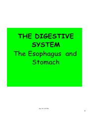 DIGESTIVE SYSTEM esophagus and stomach.pdf