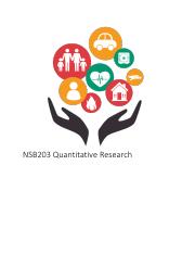 NSB203 Quantitative Research 2020.pdf