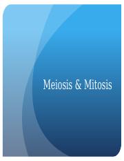 Hot Seat - Meiosis  Mitosis _1_