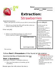 dna_extraction_of_strawberries_lab_sheets.docx