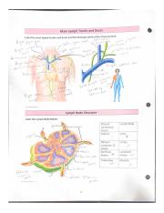Main Lymph Trunks and Ducts[40].pdf