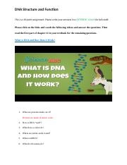DNA structure and function 2022G.docx