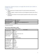 Challange 3- Website Analysis GMS Audience Profile.pdf