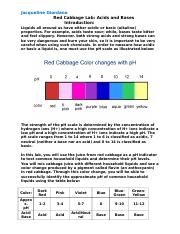 red cabbage pH lab_2_.docx