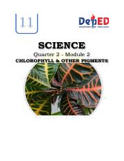 Module 2 - Chlorophyll and Other Pigments.pdf