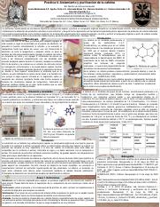LabQOIII_P6 Aislamiento y purificación de la cafeína.pdf