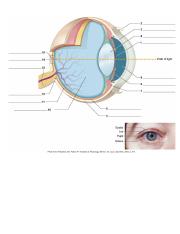 Eye diagram.pdf