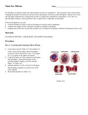mitosis_time_for.pdf