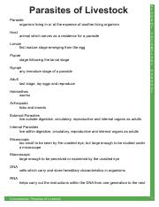 Vocabulary Handout.pdf