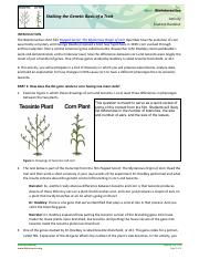 GeneticTrait-StudentHO-fillable508-act.pdf