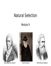 8.2 Natural Selection_student(1).pptx