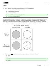 Quiz 6 - Scoring Guide.pdf