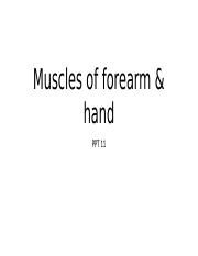 11. Muscles of forearm and hand.pptx