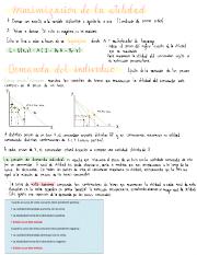 Resumen Micro I 2.pdf