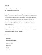 Lab Report #1_ Carbon Chemistry Exercises 3.2.pdf
