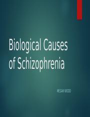 Biological Causes of Schizophrenia.pptx
