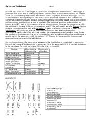 Karotype evaluation practice.docx