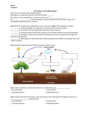 carbon cycle extension.pdf