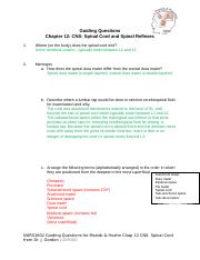 Pre-Reading Questions Chap 12 CNS Spinal Cord v209300_0d09c40550993091a16d43bfa4399b2f copy copy.doc
