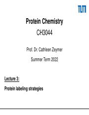 Lecture3_Protein_labeling.pdf