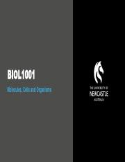 De Iuliis 2022 - BIOL1001 - Tutorial 4c.pdf