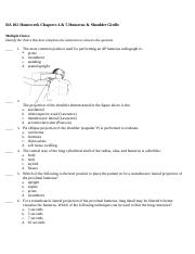 Homework-Chapters-4---5-Humerus---Shoulder.doc