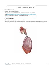 respiratory-lab-activity.pdf