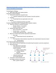 Nucleic Acids and Transcription (Lecture 4).pdf