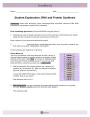 Assignment VII.5 RNA and Protein Synthesis GIZMO.doc