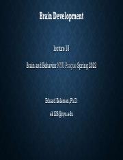 Lecture 18 Brain and Behavior Spring 2022.pdf