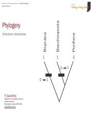 Lecture 16 - Phylogeny.pdf