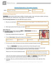 Circulatory System Worksheet.pdf