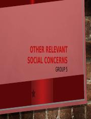 Other-Relevant-Social-Concerns.pptx