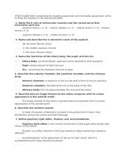 chapter 14 study guide.docx