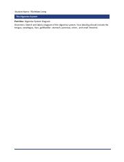7.4_DigestiveSystem_worksheet (2).pdf