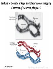 Lecture 5, Genetic linkage and chromosomal mapping to post.pdf
