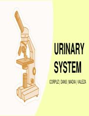 HISTLAB-A-S03-T05-Urinary-System.pdf