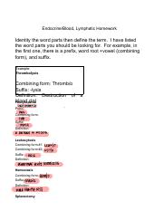Endocrine, Blood, and lymph worksheet.pdf