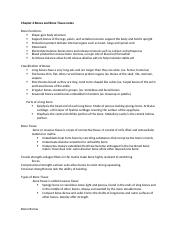 Chapter 6 Bones and Bone Tissue notes.docx