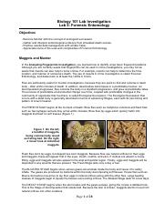 5_Forensic Entomology Investigation.pdf