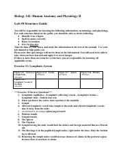 _Lab 8 Structure Guide.pdf