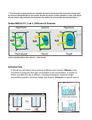 Online Lab 3 Osmosis.pdf