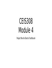 CEIS 308 Module 4 Project Deliverable_Nov2022.pptx