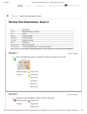 Exam 2 – 2020FL-GEOL-1403-57100.pdf