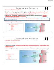 Lecture_3_-_Sensation_and_P.pdf