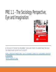 PRE 1.1 - The Sociology Perspective, Eye, and Imagination fa20.pptx
