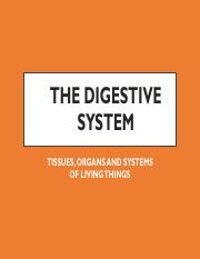 Digestive System PPT.pptx.pdf
